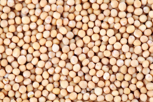 Mustard seeds background - Photo, image