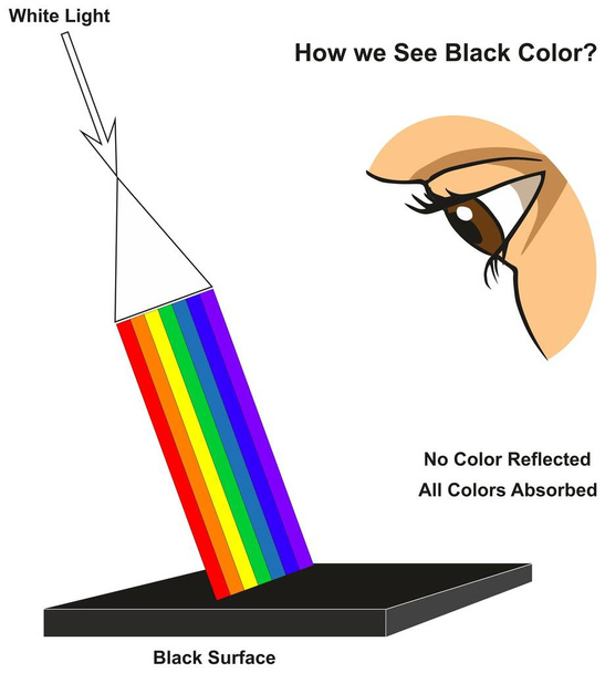 wie wir schwarzes Farb-Infografik-Diagramm sehen, das sichtbares Spektrum-Licht auf der Oberfläche und Farben zeigt, die entsprechend ihrer Farbe reflektiert oder absorbiert werden, für den naturwissenschaftlichen Physikunterricht - Vektor, Bild