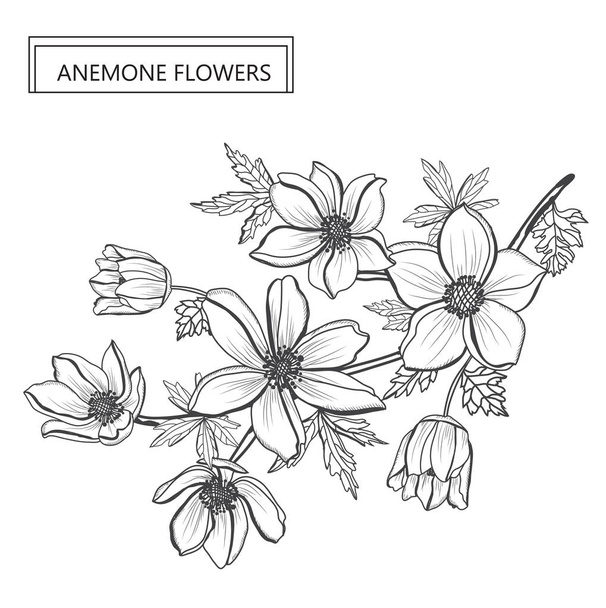 Decorative anemone flowers, design elements. Can be used for cards, invitations, banners, posters, print design. Floral background in line art style - Vector, Image