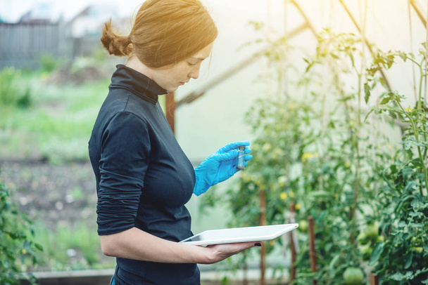 Woman specialist agronomist holding a tablet. Concept quality control of production on farms - Foto, Bild