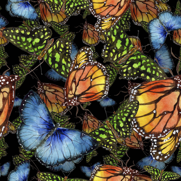 Exotic butterflies wild insect in a watercolor style. Seamless background pattern. Fabric wallpaper print texture. Aquarelle wild insect for background, texture, wrapper pattern or tattoo. - Photo, image