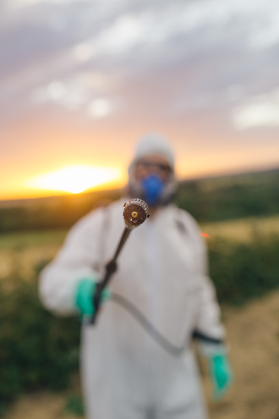 Agriculture pest control - Young worker holding sprayer for spraying organic pesticides on fruit growing plantation during sunset. - Foto, imagen