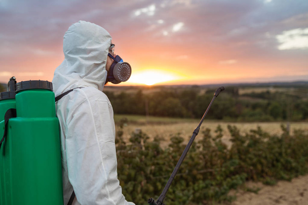 Controle de pragas agrícolas - Jovem trabalhador segurando pulverizador para pulverizar pesticidas orgânicos na plantação de frutas durante o pôr do sol
. - Foto, Imagem