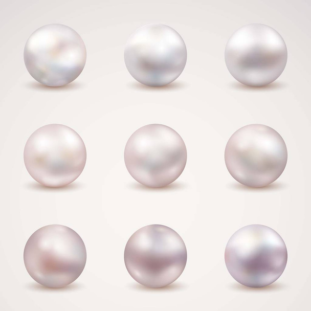 Beautiful natural shiny pearl vector illustration - Vector, Image