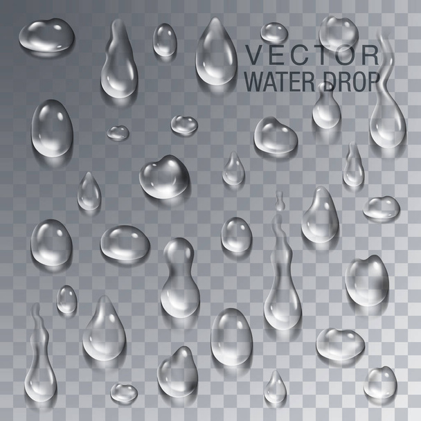 Clean water drops set on transparent background - condensation drop illustration - Vector, Image