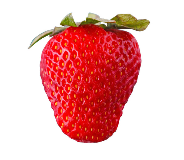 eine große frische rote Erdbeere isoliert auf weißem Hintergrund. Kopierraum - Foto, Bild