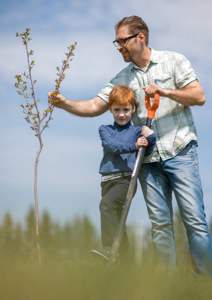 father and son planting a tree - working together - Valokuva, kuva