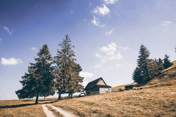 Tradiční sýry tvůrci dřevěné chatě v horách Polsko - Fotografie, Obrázek