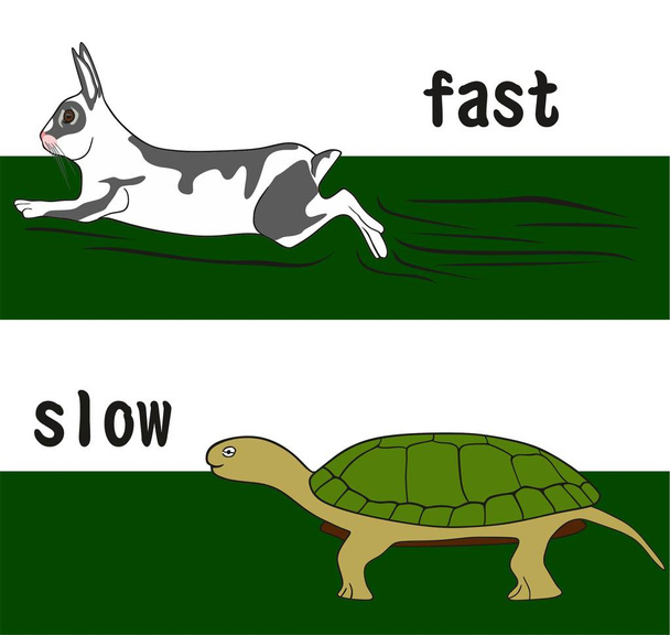 Mot d'opposition rapide et lent Concept d'éducation dessin conceptuel montrant le lapin en marche et la tortue marchante
 - Vecteur, image