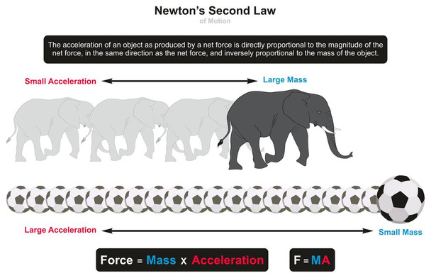 Newton tweede wet van Motion infographic diagram met voorbeelden van olifant en voetbal tonen de relatie tussen een object massa en versnelling voor fysica wetenschappelijk onderwijs - Vector, afbeelding