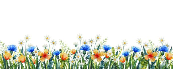 Watercolor floral template for your design. Hand painted watercolor wildflowers. Cornflower, chamomile and grass. - Zdjęcie, obraz