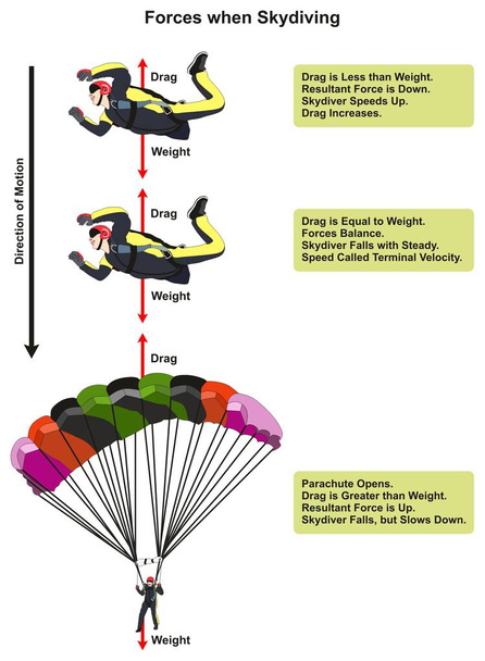 Amikor az ejtőernyőzés ejtőernyős érintette drag és a természettudományos oktatás mozgás irányát mutató súly beleértve lecke diagram fizika erők - Vektor, kép