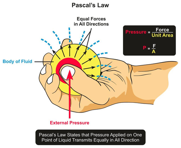 Pascalech zákon informativní diagram zobrazující příklad tělesné tekutiny, které držel v ruce a vnější tlak palcem a síly přenáší stejně přes všechny směry oblast povrchu - Vektor, obrázek