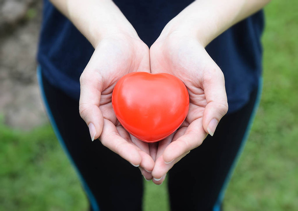 Manos de mujer sosteniendo corazón rojo cuidado de la salud, personas, relación, San Valentín y concepto de amor
 - Foto, Imagen