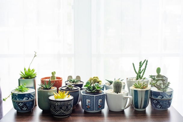 Cactus dans un pot joliment décoré sur la table
. - Photo, image