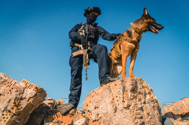 Cynologist。訓練された牧羊犬と軍事服男 - 写真・画像