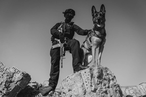 Cynologist. A man in military clothes with a trained sheepdog - Фото, зображення