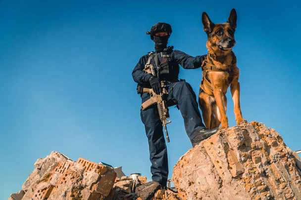 Cynologist. A man in military clothes with a trained sheepdog - 写真・画像