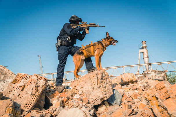 Cynologist. Ένας άνθρωπος με στρατιωτικά ρούχα με ένα εκπαιδευμένο τσοπανόσκυλο - Φωτογραφία, εικόνα