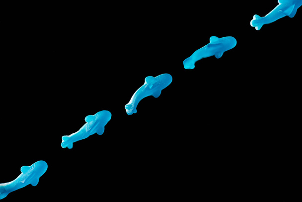 top view of diagonal of blue jelly candies in shape of dolphins isolated on black - Photo, Image