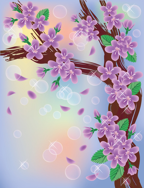 Cherry blossoms on sky background, vector illustration - Διάνυσμα, εικόνα