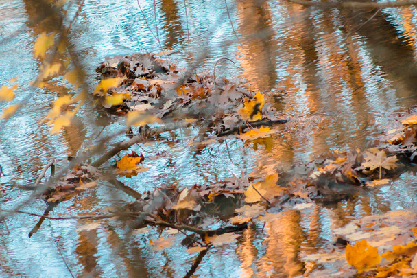 Сбор осенних листьев в ручей
 - Фото, изображение