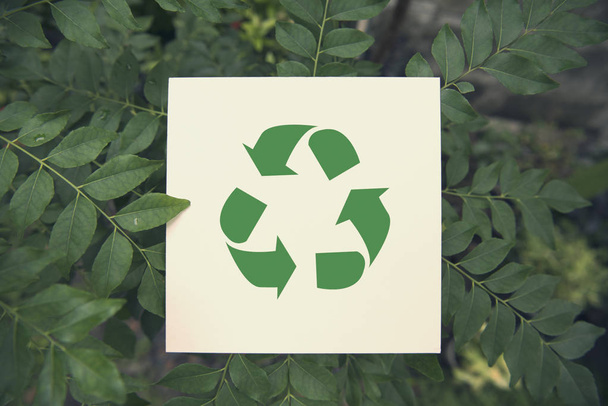 recycler le symbole sur fond de feuille verte vue du dessus. éco et sauver la terre concept
. - Photo, image