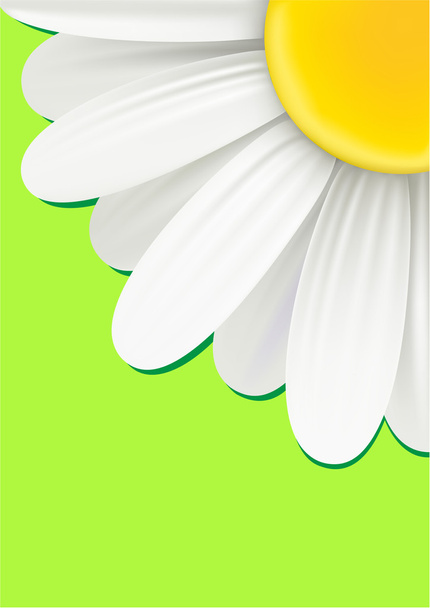 Background with a chamomile. - Вектор,изображение