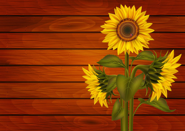 Illustration of sunflowers and ladybird on wooden board - Vector, Image
