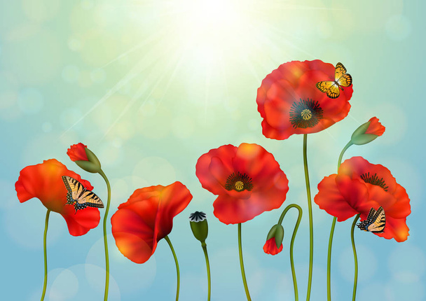 Illustration einer Vorlage für Gruß-, Hochzeits- oder Einladungskarte mit Mohnblumen, Schwalbenschwanz, Silberfleckschmetterlingen und Sonnenstrahl-Hintergrund - Vektor, Bild