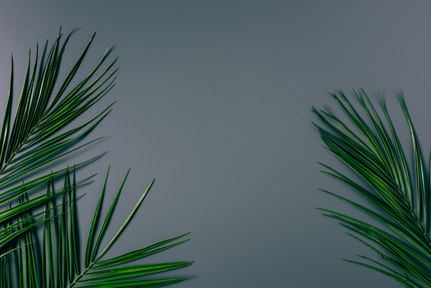 top view of green palm leaves arranged on grey backdrop - Zdjęcie, obraz