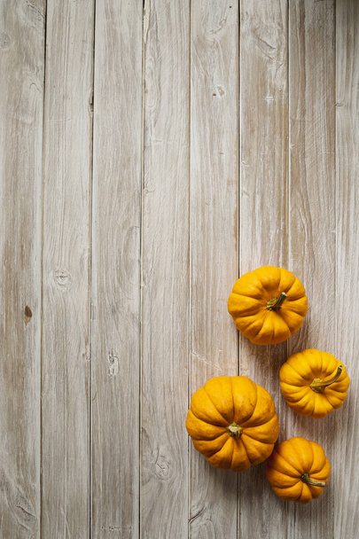 Осенний баннер из оранжевых тыкв, выделенных на белом фоне гранжа. Осень, Хэллоуин и День благодарения. Стилизованная плоская лежала фотография. Вид сверху. Пустое пространство
 - Фото, изображение
