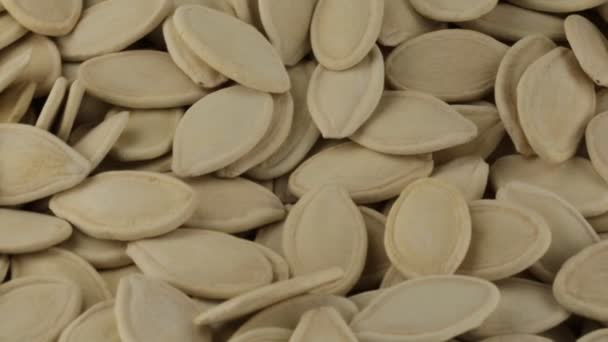 semillas de calabaza de bio
 - Metraje, vídeo