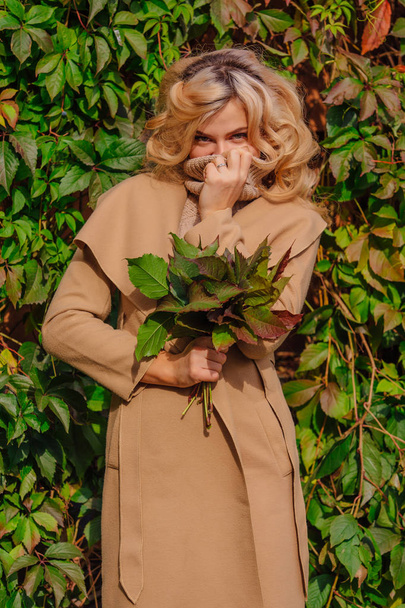 Young beautiful woman in sweater and coat stands next to the background of wild grapes holding bouquet of autumn leaves in park - Foto, afbeelding