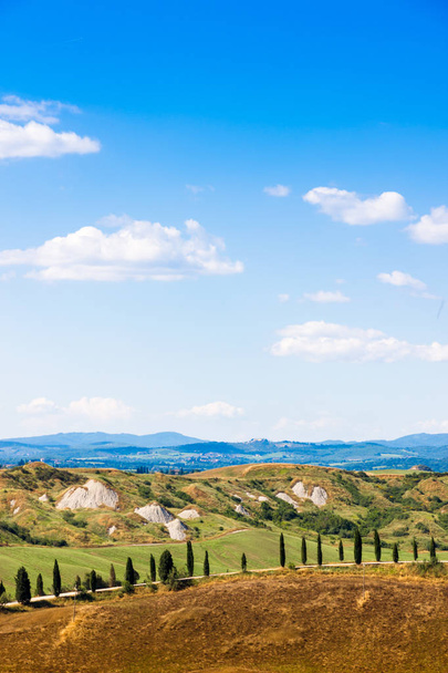 Drogi i cyprysów na wzgórzu w pobliżu Asciano in Crete Senesi, Toskania, Włochy - Zdjęcie, obraz