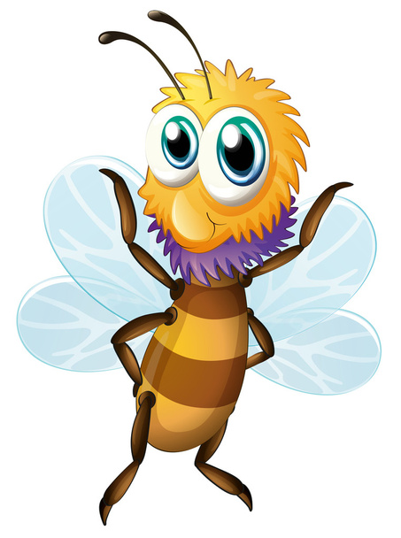 een grote bee - Vector, afbeelding