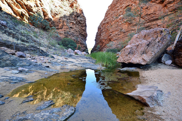 Αυστραλία, Βόρεια επικράτεια, waterhole στο Simpson Gap - Φωτογραφία, εικόνα