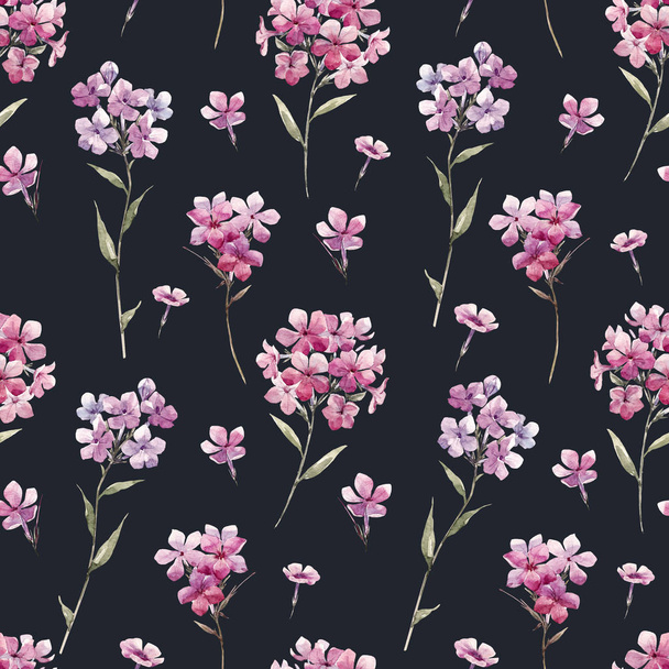 Watercolor floral phlox pattern - Фото, зображення
