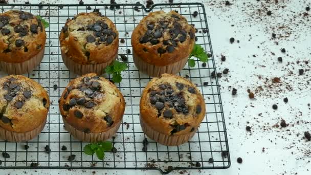 heerlijke zelfgemaakte muffins met chocolade druppels op metalen raster - Video