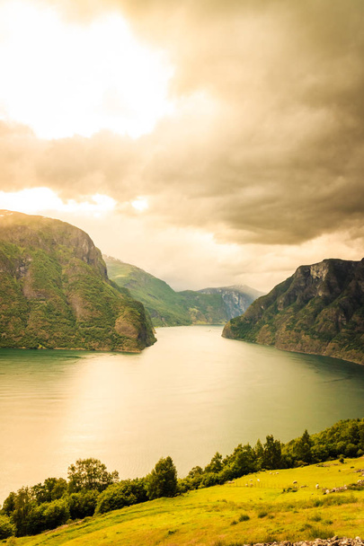 Tourism and travel. Scenic nature landscape. View of the picturesque Aurland valley and fjords Norway Scandinavia. - Photo, Image