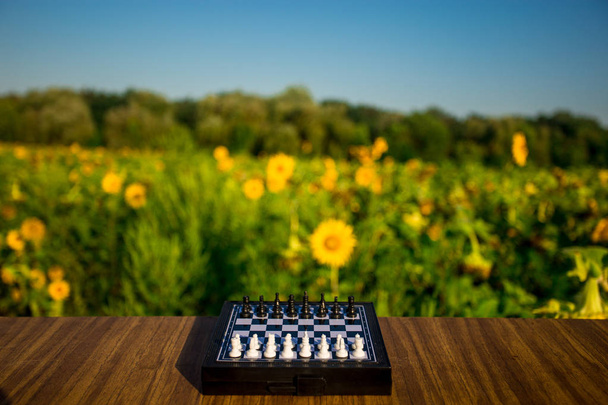 Шахматные фигуры на деревянном столе в летнем парке
 - Фото, изображение