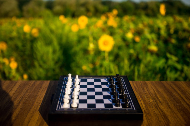 Pièces d'échecs sur table en bois dans le parc d'été
 - Photo, image