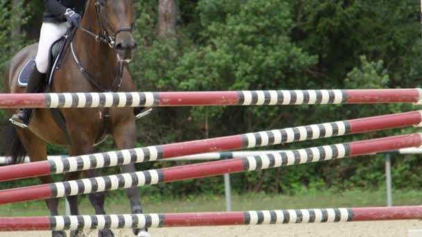 SLOW MOTION CLOSE UP : Détail des jambes de cheval sautant courageusement par-dessus la clôture verticale lors de la compétition de saut d'obstacles en plein air. Mare avec des manières et un style performant dans le saut au stade
 - Séquence, vidéo