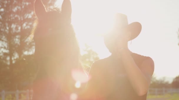 Slow MOTION, SULJE Up, DOF: Onnellinen vanhempi ratsastaja yllään cowboy hattu, tervehdys, koskettaa kätensä ääriään myöten. Hevonen pudistaa päätään aurinkoisena kevätpäivänä. Vanhemman miehen ja oriin muotokuva auringonlaskun aikaan
 - Materiaali, video