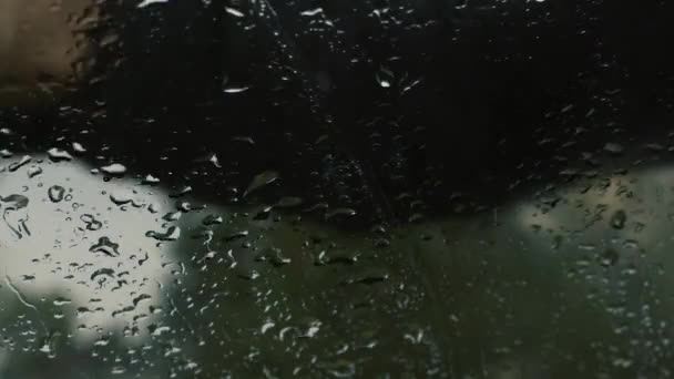 Człowiek czyści szkło z kropli za pomocą pióra wycieraczek - Materiał filmowy, wideo