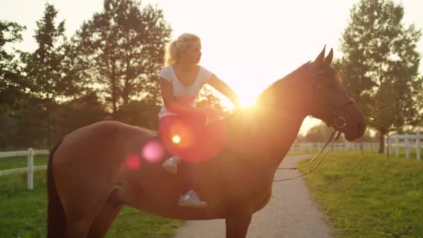 Αργή κίνηση, Close Up: Χαμογελαστός ξανθό κορίτσι που κάθεται σε ένα όμορφο καφετί άλογο με τα πόδια σταυρωμένα μετά χαλαρωτική βόλτα το βράδυ στη φύση. Νεαρή γυναίκα χαϊδεύει την αγαπημένη ευνουχισμένο ζώο στο χρυσό φως ηλιοβασίλεμα - Πλάνα, βίντεο