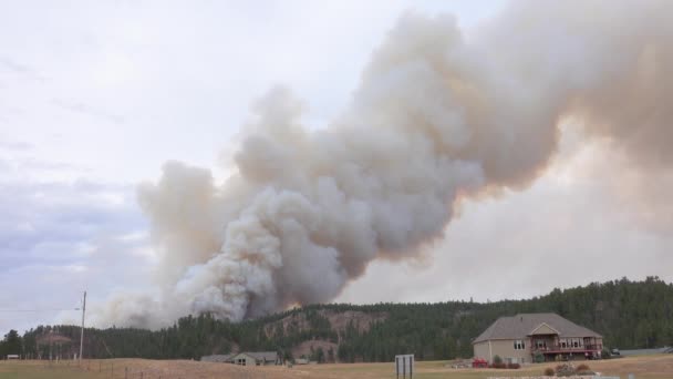 Scenic countryside farm field and beautiful luxury family houses in small rural village. Thick grey cloud of smoke rising above the burning pine trees caught in devastating forest fire on a hill slope - Footage, Video