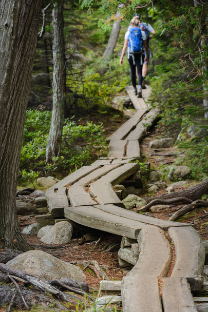 Genç çift bir split günlük tahtada hiking Jordan Pond yürümek. - Fotoğraf, Görsel