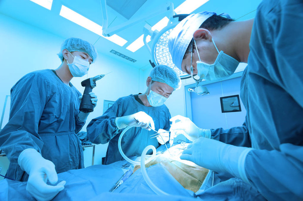 Grupa operacji lekarz weterynarii w pokoju operacji zabrać ze sztuki oświetlenie i niebieski filtr - Zdjęcie, obraz