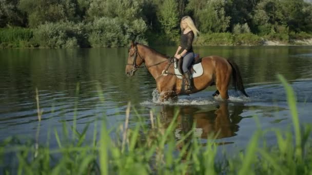 MOCIÓN LENTA, CERRAR, DOF: Mujer alegre montar a caballo hermoso caballo marrón contra el flujo de agua salpicando gotas de agua alrededor. Caucásico chica en verano vacaciones cabalgando impresionante gelding en el río
 - Imágenes, Vídeo